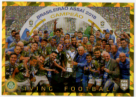 Palmeiras Living Football 2020 FIFA 365 #356