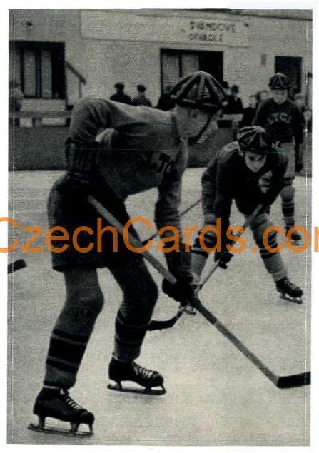 LTC Praha juniors Hockey kids 2/2 2021 Kaufland sticker #201