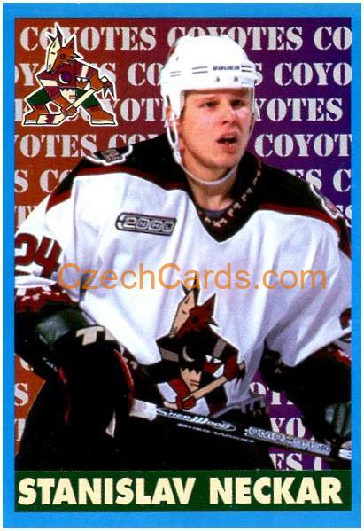 Stanislav Neckar 1999/00 Panini NHL sticker #278