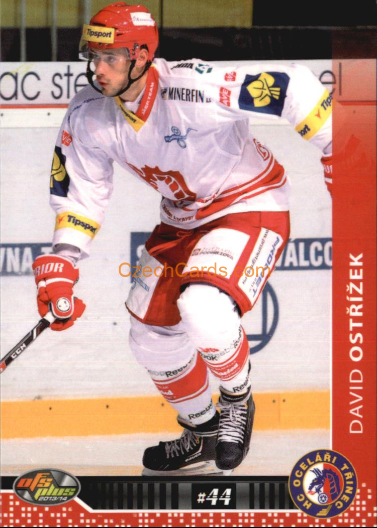 David Ostřížek OFS 2013/14 #107