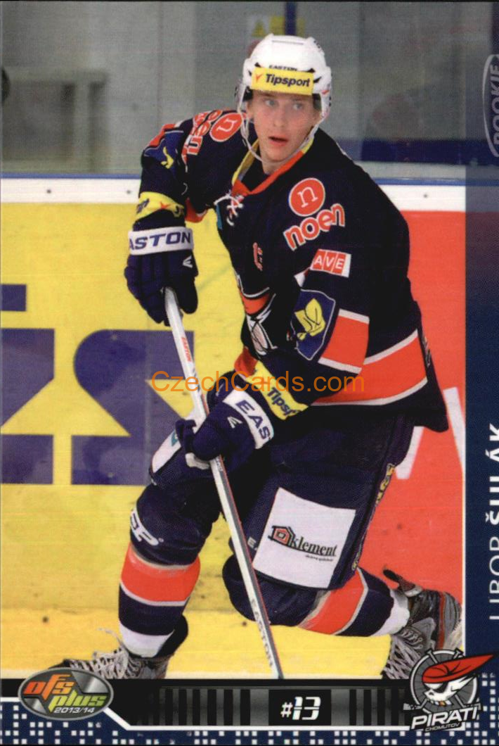 Libor Šulák OFS 2013/14 #212