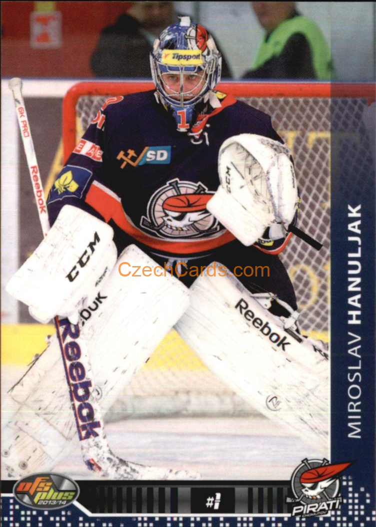 Miroslav Hanuljak OFS 2013/14 #219