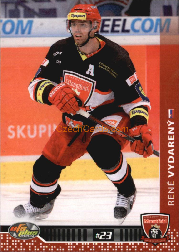 René Vydarený OFS 2013/14 #240