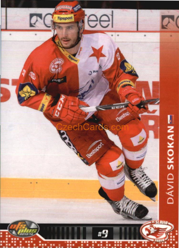 Dávid Skokan OFS 2013/14 #249