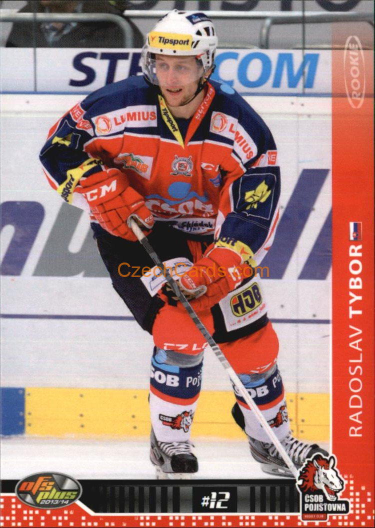 Radoslav Tybor OFS 2013/14 #302