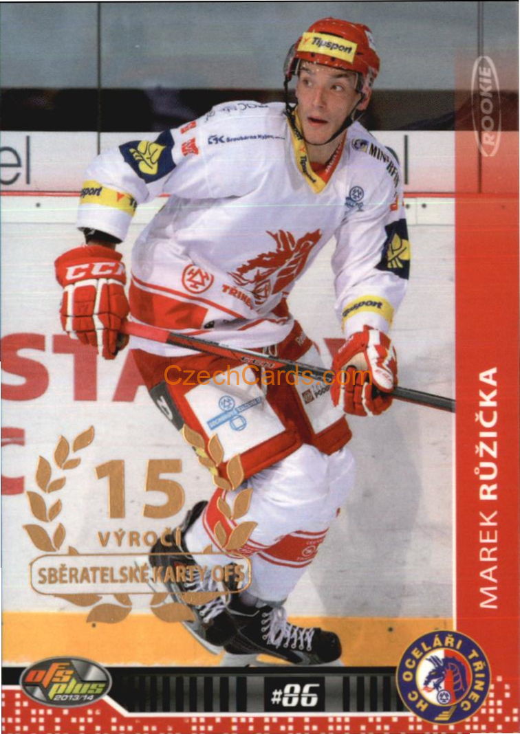 Marek Růžička OFS 2013/14 Paralel #114