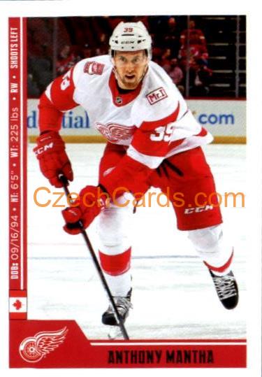 Anthony Mantha 2018/19 Panini NHL sticker #89