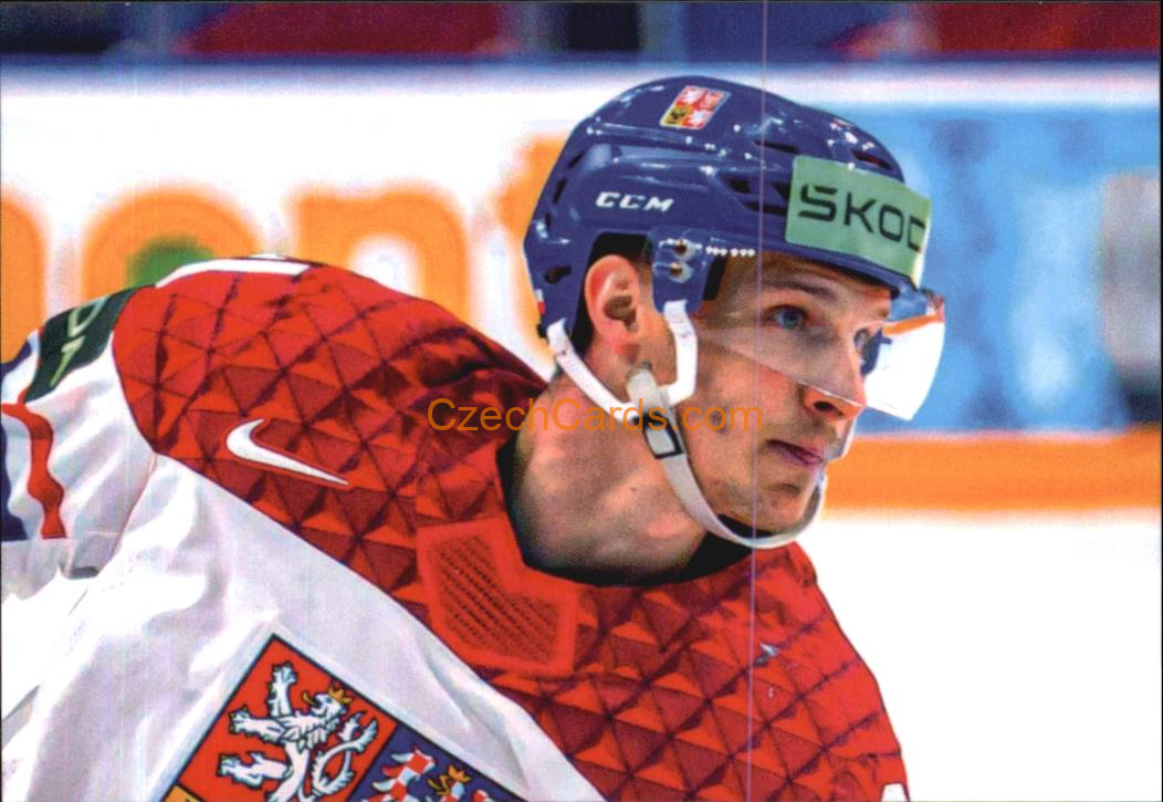 Dominik Kubalík 2024 LC Golden Belong To Us Golden Jigsaw Puzzle #DK02