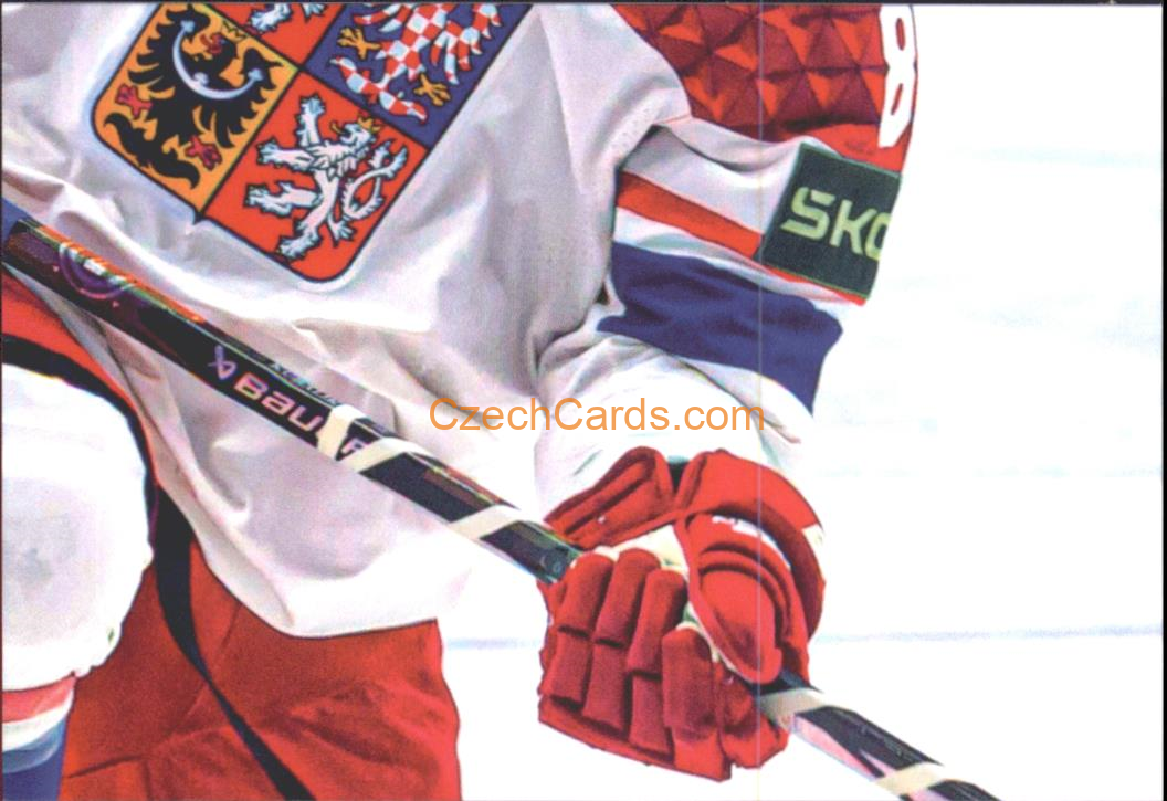 Dominik Kubalík 2024 LC Golden Belong To Us Golden Jigsaw Puzzle #DK05