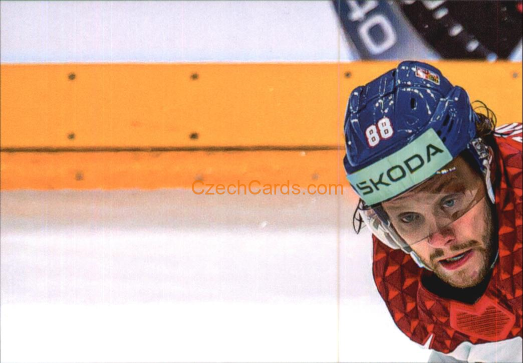 David Pastrňák 2024 LC Golden Belong To Us Golden Jigsaw Puzzle #DP01