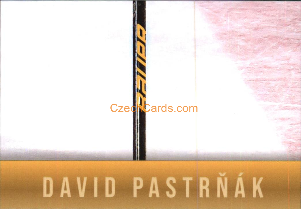 David Pastrňák 2024 LC Golden Belong To Us Golden Jigsaw Puzzle #DP08