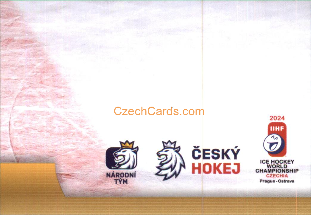 David Pastrňák 2024 LC Golden Belong To Us Golden Jigsaw Puzzle #DP09