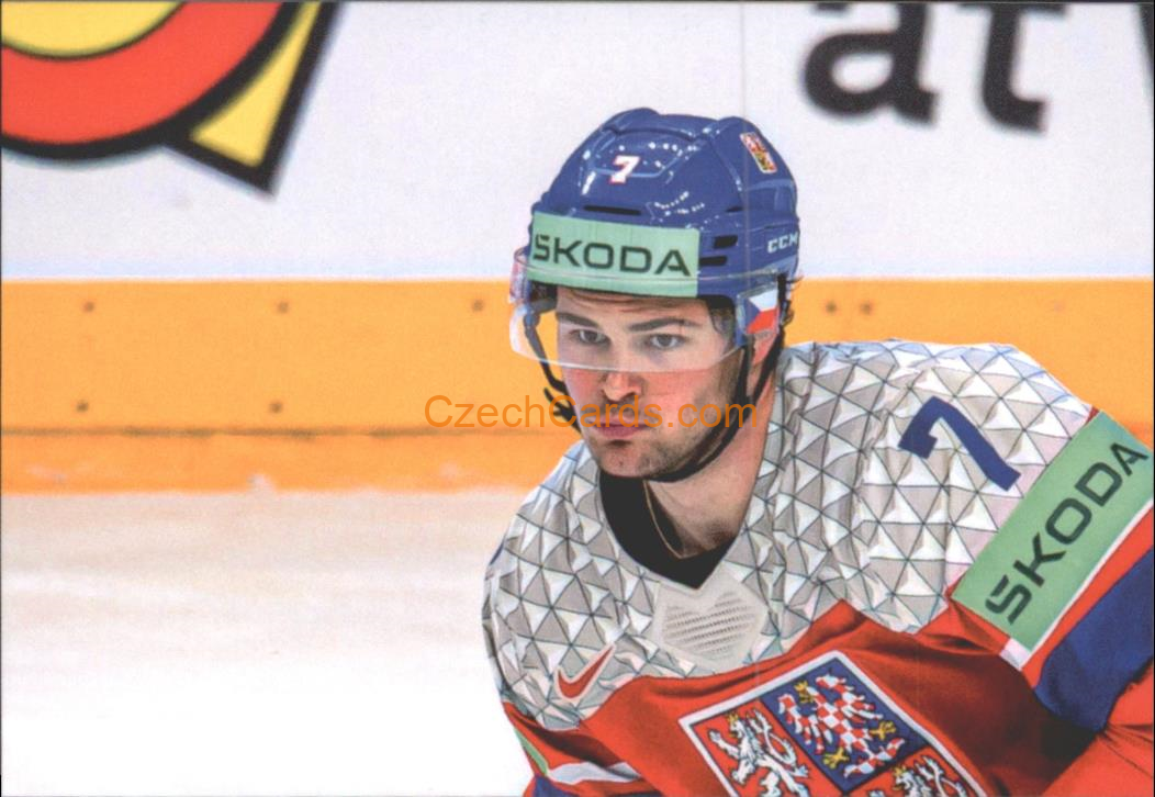 David Špaček 2024 LC Golden Belong To Us Golden Jigsaw Puzzle #DŠ02