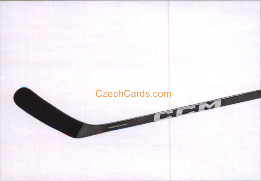David Špaček 2024 LC Golden Belong To Us Golden Jigsaw Puzzle #DŠ04