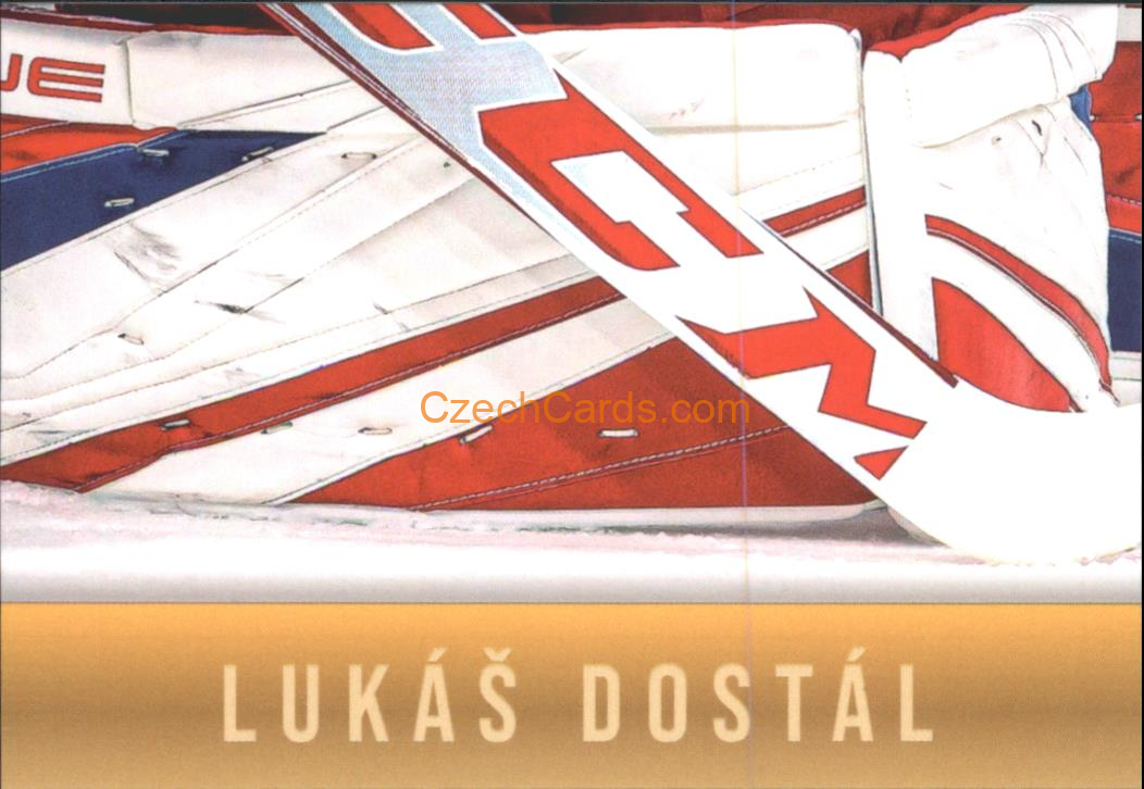 Lukáš Dostál 2024 LC Golden Belong To Us Golden Jigsaw Puzzle #LD08