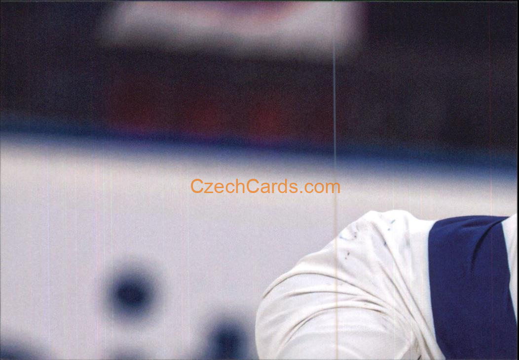 Lukáš Sedlák 2024 LC Golden Belong To Us Golden Jigsaw Puzzle #LS01