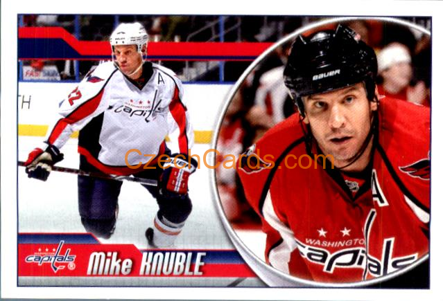 Mike Knuble 2010-11 Panini NHL Sticker #155