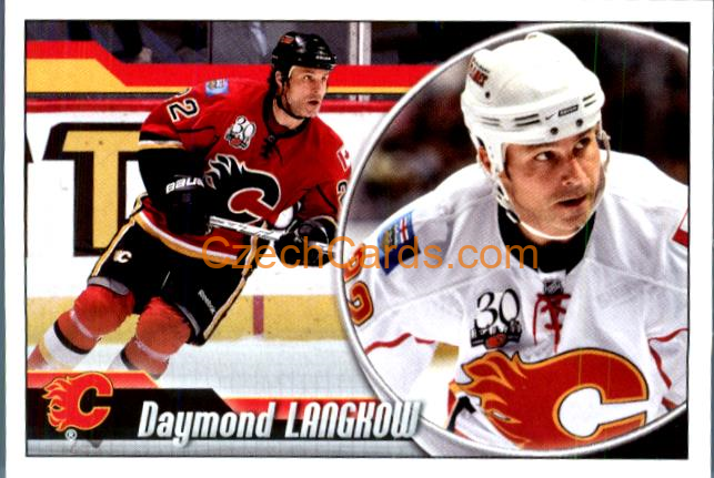 Daymond Langkow 2010-11 Panini NHL Sticker #175