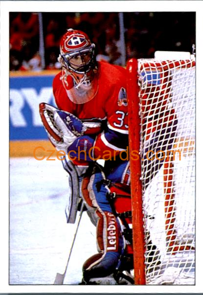 Patrick Roy Montreal 1990/91 Panini NHL sticker #323