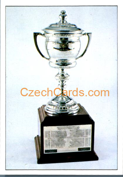 Lady Byng Memorial Trophy 1990/91 Panini NHL sticker #349