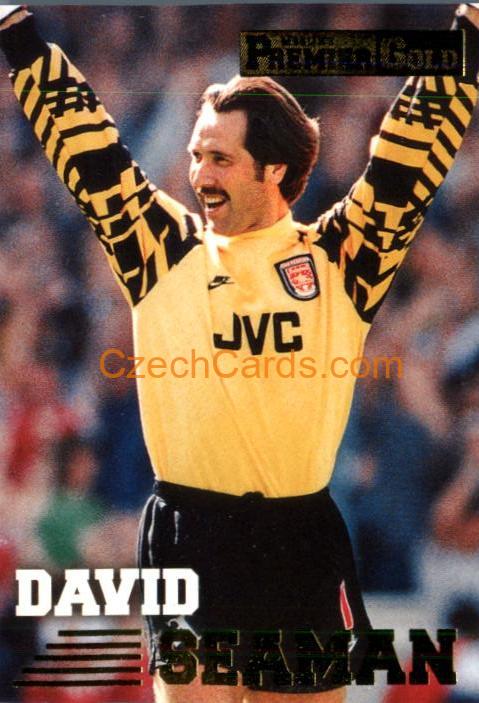David Seaman 1996/97 MERLIN Premier Gold #6