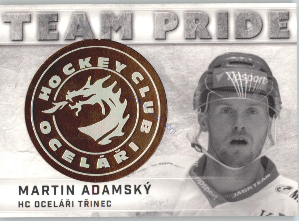 Martin Adamský OFS 2015/16 Team Pride #TP-26 1of99