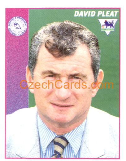 Home Kit 1997 Merlin EPL Sticker #384