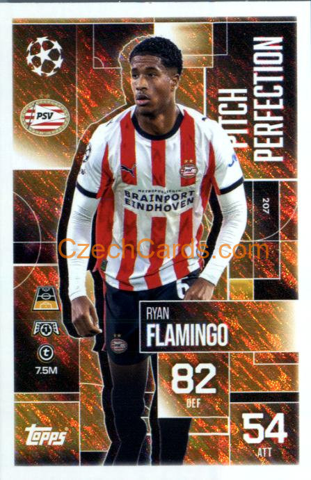 Ryan Flamingo 2025/26 Match Attax Extra #207
