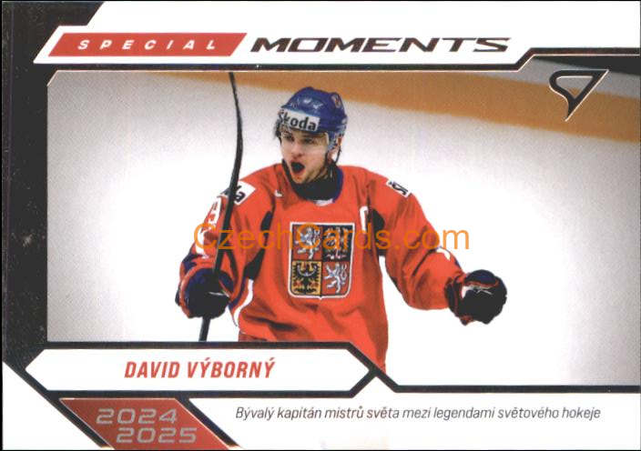 DAVID VÝBORNÝ 2026 Sportzoo Hokejové Česko #SM-26
