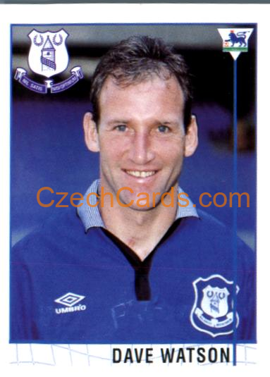 Dave Watson 1996 Merlin Premier League Sticker #382