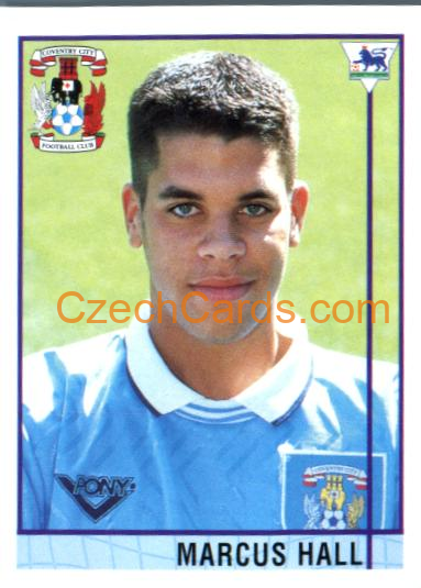 Marcus Hall 1996 Merlin Premier League Sticker #407