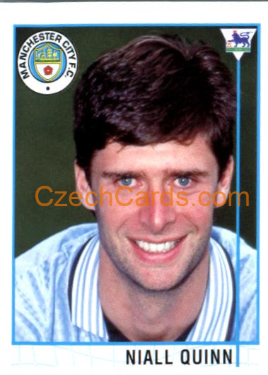Niall Quinn 1996 Merlin Premier League Sticker #447